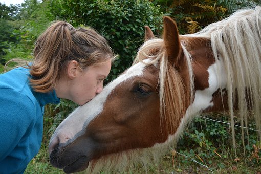馬にキスする少女