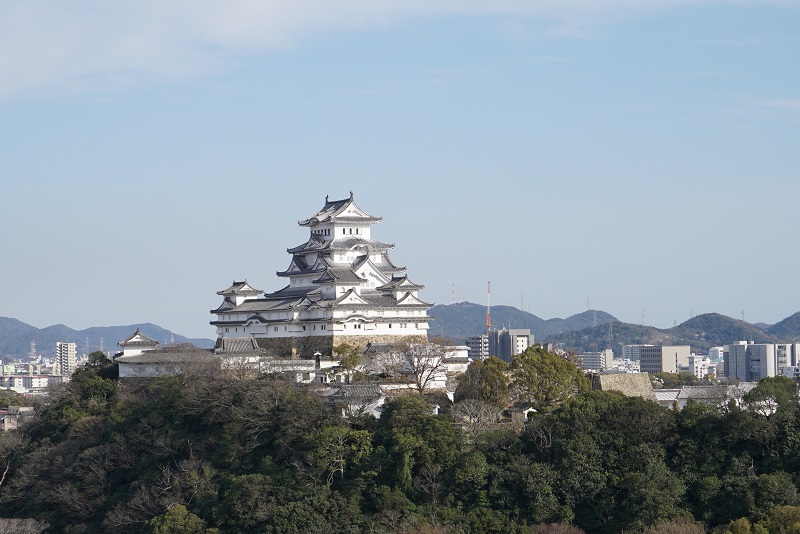 男山と姫山