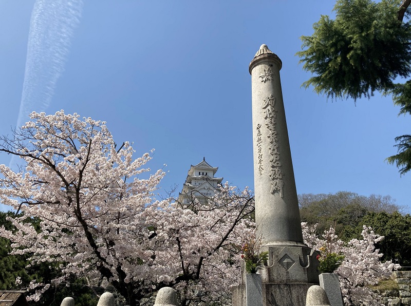 姫路 桜 穴場