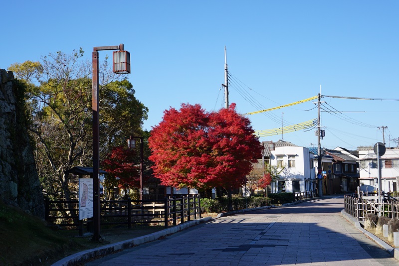 ハート型の紅葉