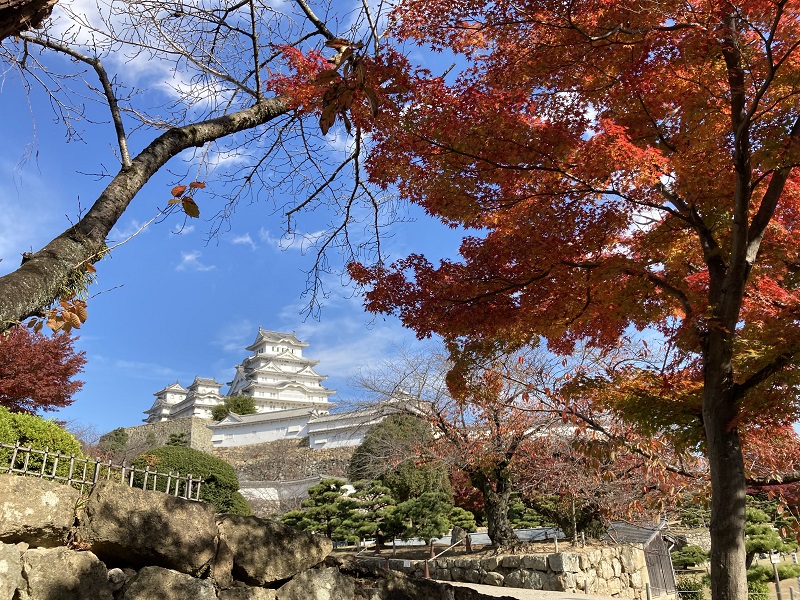 秋の姫路城