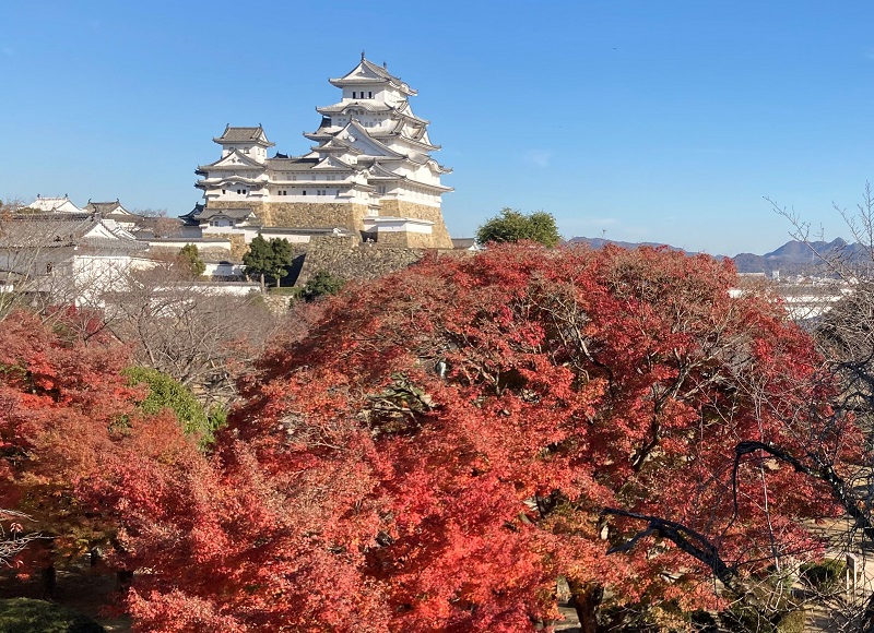 姫路城の紅葉