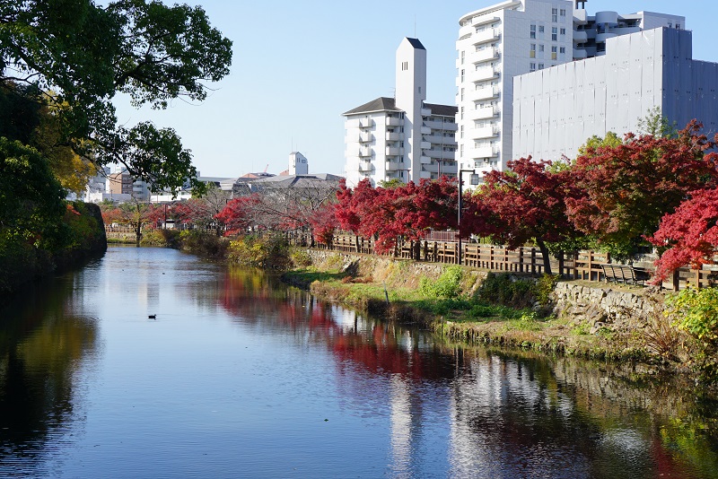 船場川の紅葉