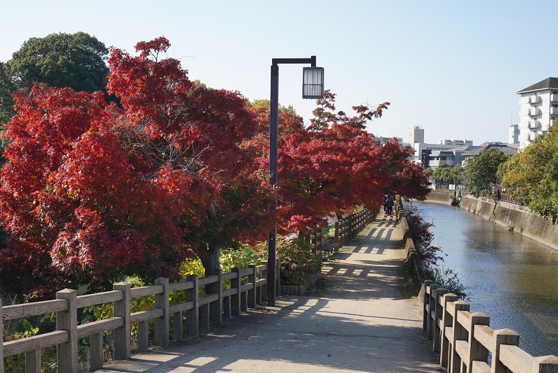 紅葉がきれいな場所