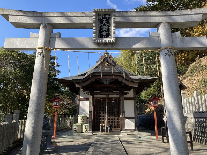 千姫と徳川家康の家系図