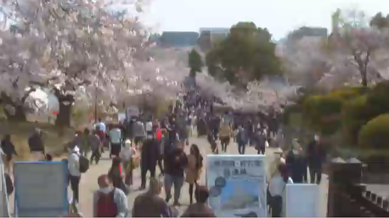 姫路城 現在の様子