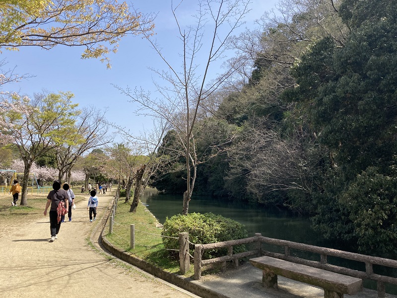 姫路城の原生林