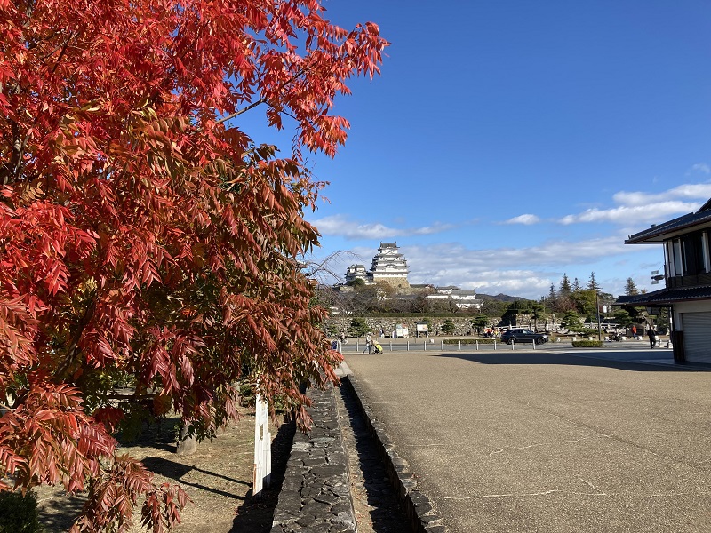 姫路城と紅葉