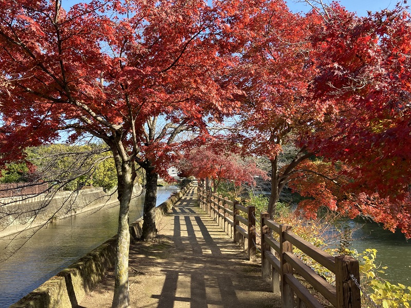 秋の船場川