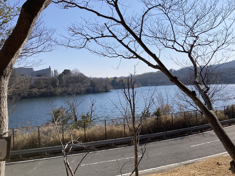 桜山貯水池(桜ダム)