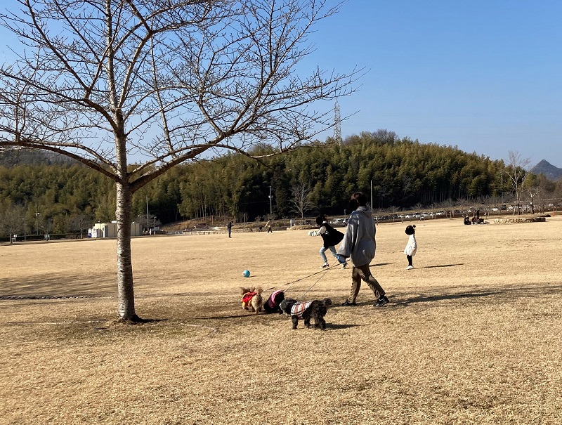 桜山公園で犬の散歩