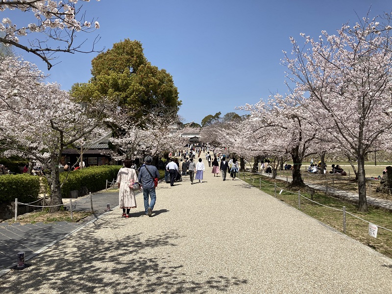 桜の季節の混雑状況