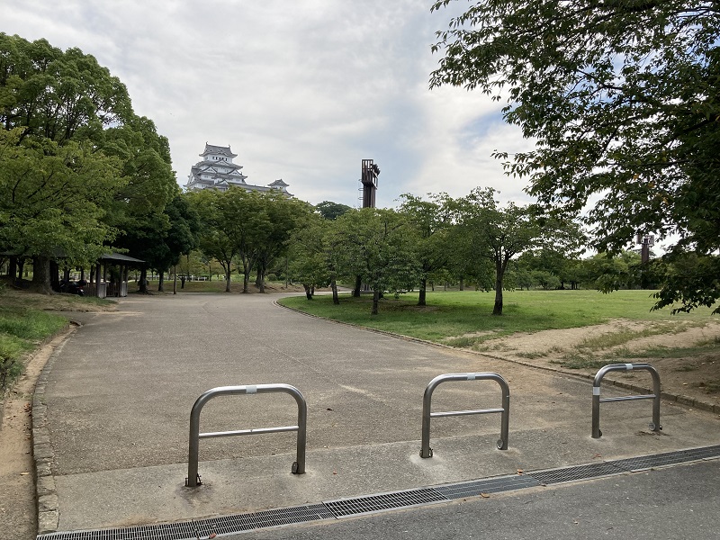 シロトピア記念公園の桜の木